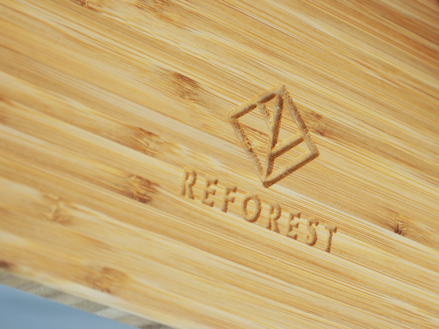 STAN Circle Dining Table Set - Large - Natural